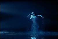 Five Angels for the Millennium/ 4. Ascending Angel - Bill Viola