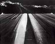 Toshio Shibata